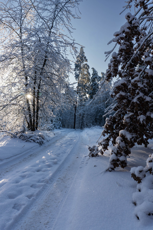 Фотографія Зимова казка / Olena Pachkolina / photographers.ua