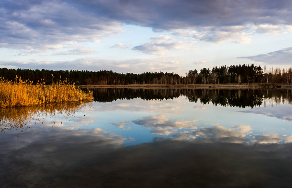 Фотографія Вечоріло / Olena Pachkolina / photographers.ua