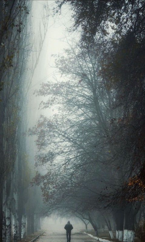 Фотографія *** / Олександр Майоров / photographers.ua