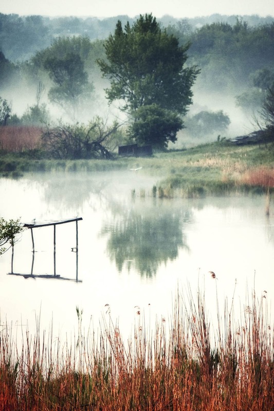 Фотографія *** / Олександр Майоров / photographers.ua