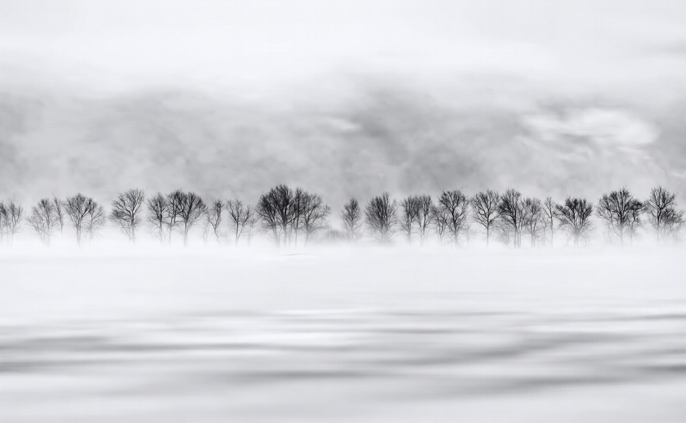 Фотографія *** / Олександр Майоров / photographers.ua