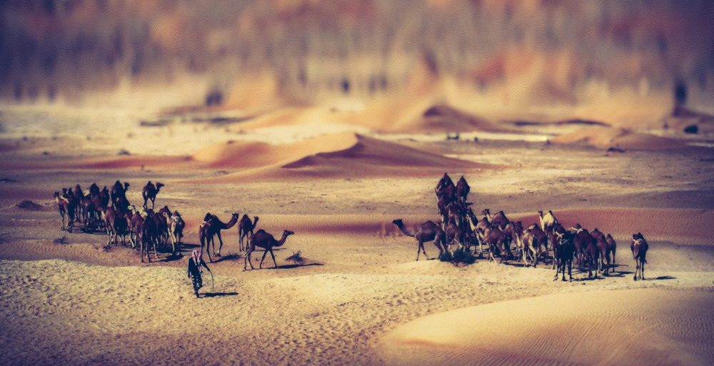 Фотографія *** / Олександр Майоров / photographers.ua