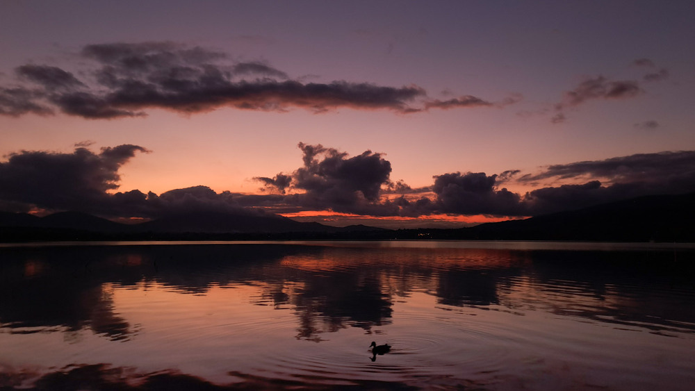 Фотографія Пейзаж / Марина Кулішенко / photographers.ua