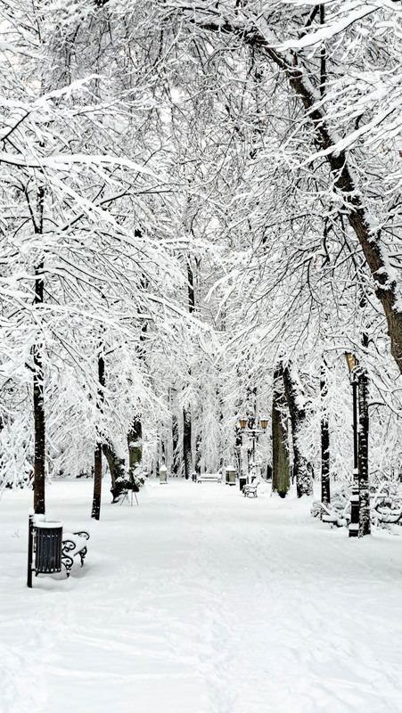 Фотографія Пейзаж / Марина Кулішенко / photographers.ua