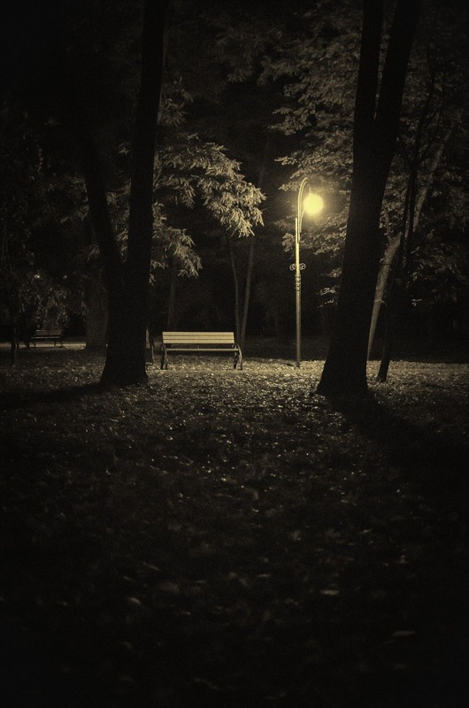 Фотографія У серці пізньої осені... / Serhii Skolota / photographers.ua