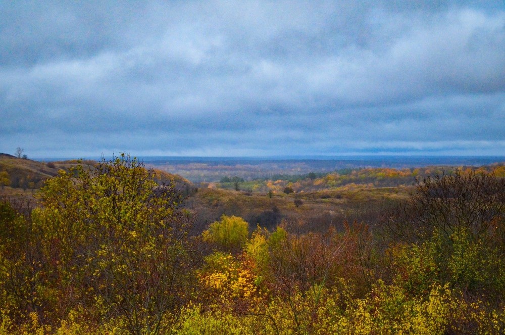 Фотографія Осінь кличе в синю далечінь... / Serhii Skolota / photographers.ua