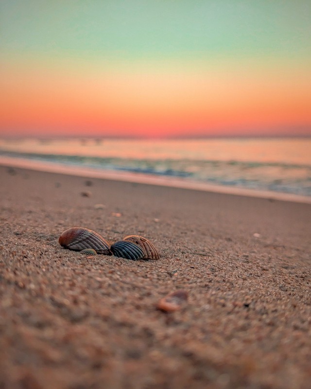 Фотографія Морська родина в обіймах світанку / Serhii Skolota / photographers.ua