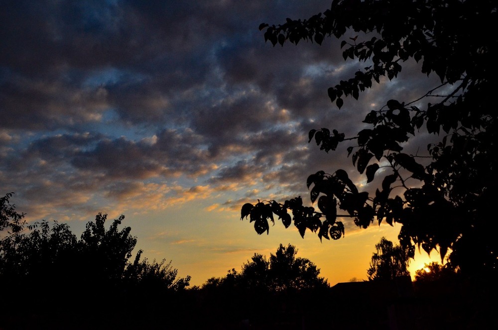 Фотографія Пейзаж / Serhii Skolota / photographers.ua