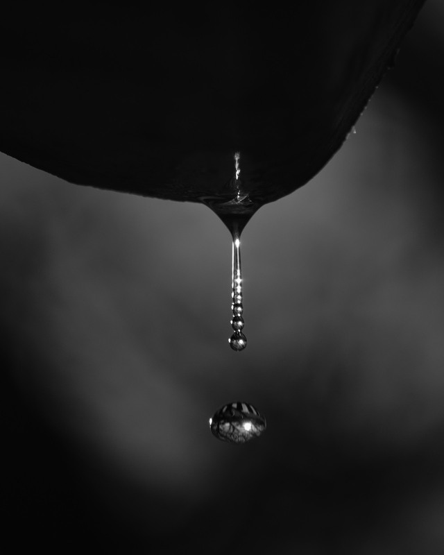 Фотографія Разное / Serhii Skolota / photographers.ua