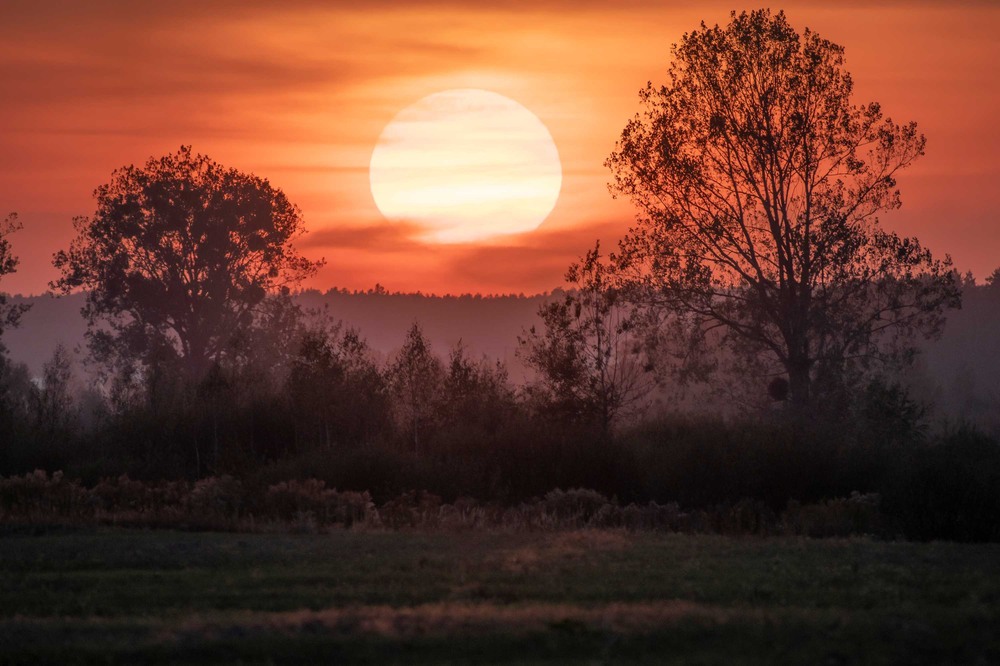 Фотографія Пейзаж / Олександр Ярмошевич / photographers.ua