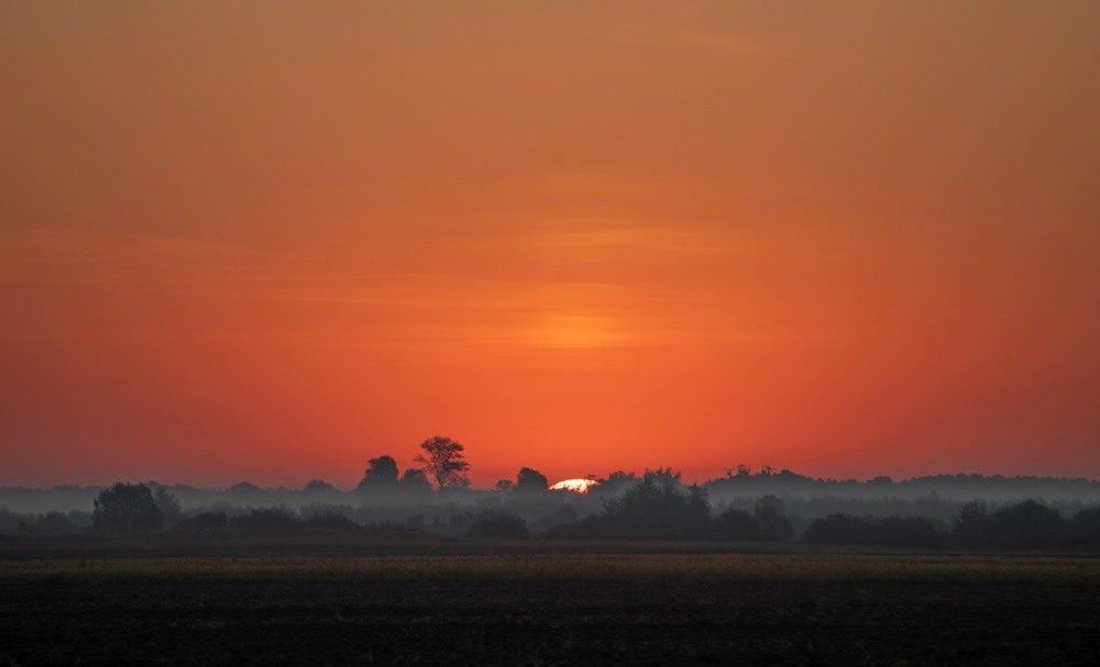 Фотографія ***** / Олександр Ярмошевич / photographers.ua