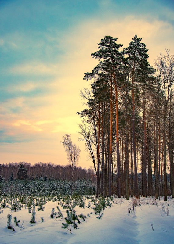 Фотографія Пейзаж / Олександр Ярмошевич / photographers.ua
