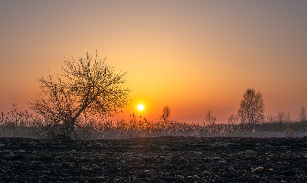 Фотографія Пейзаж / Олександр Ярмошевич / photographers.ua