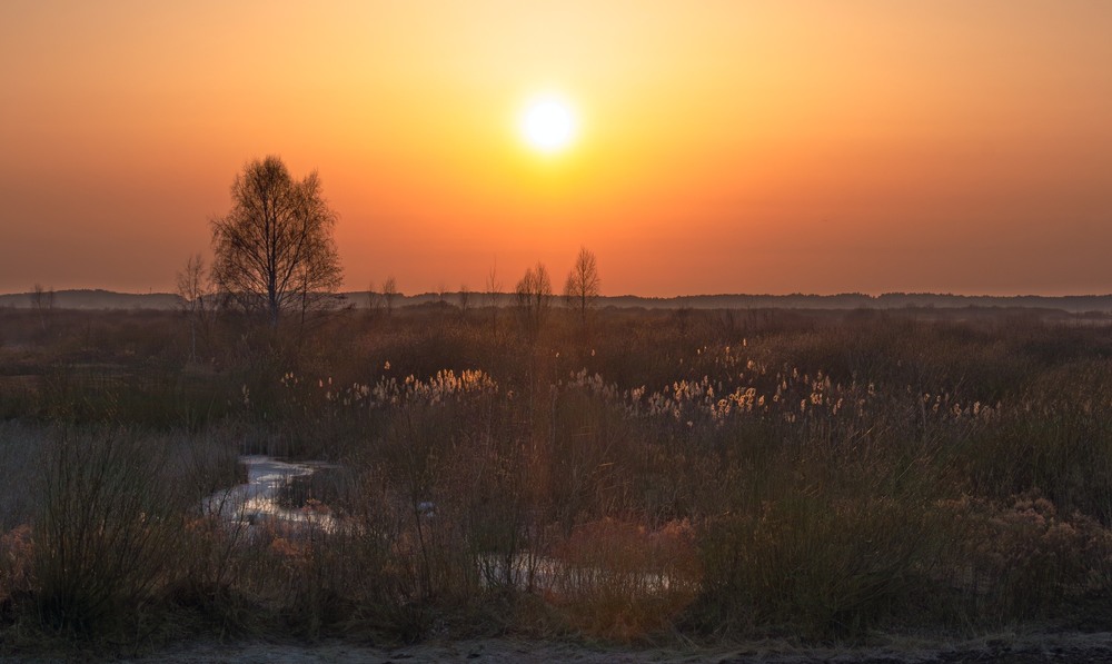 Фотографія Пейзаж / Олександр Ярмошевич / photographers.ua