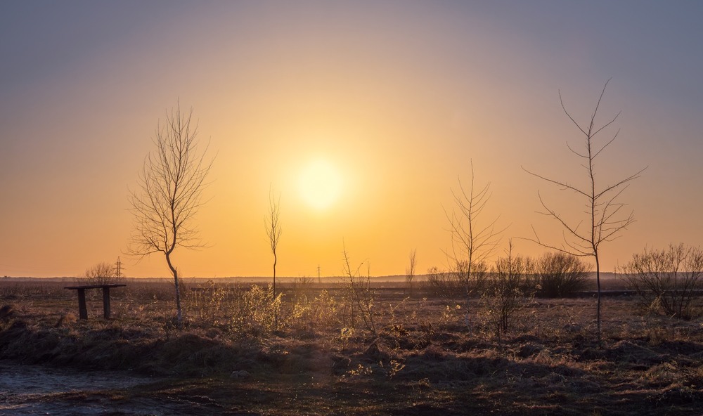 Фотографія Весна ... / Олександр Ярмошевич / photographers.ua