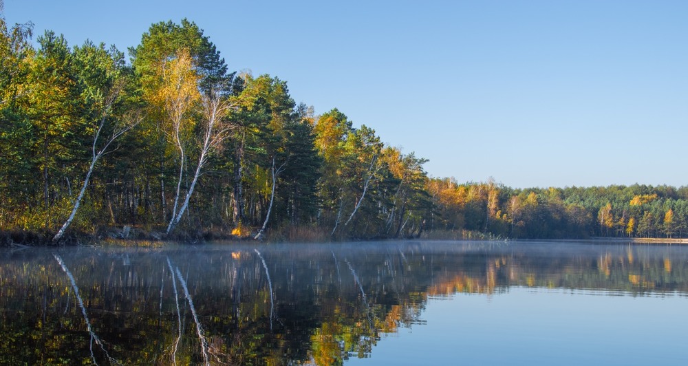 Фотографія ***** / Олександр Ярмошевич / photographers.ua