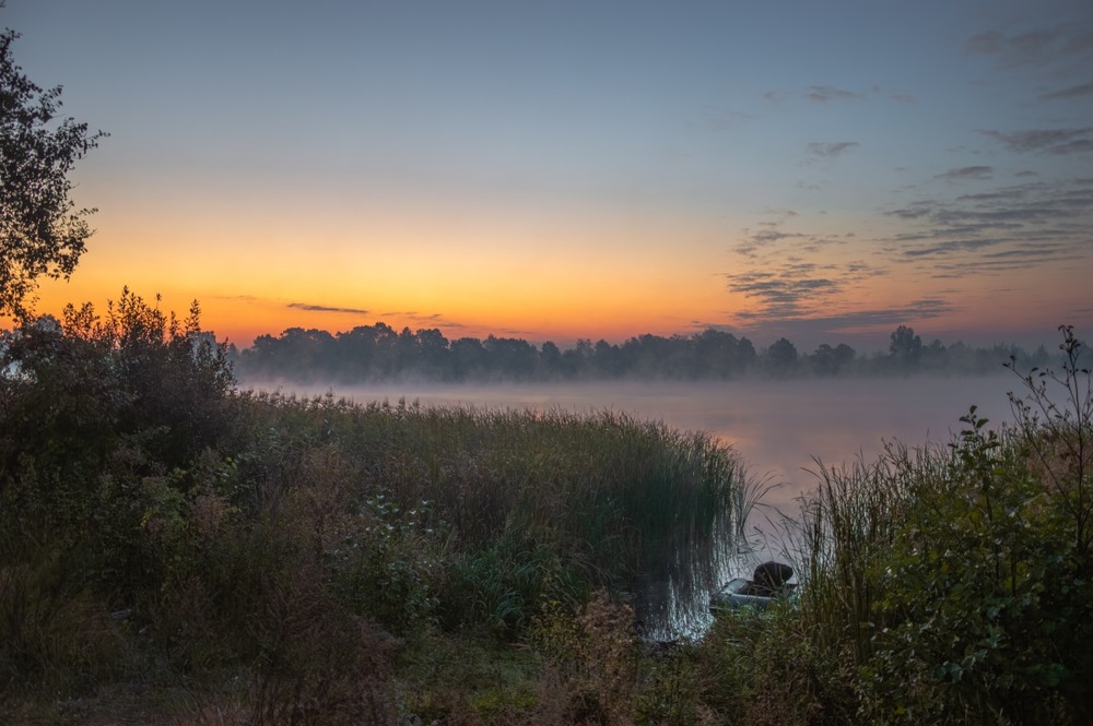 Фотографія Полісся... / Олександр Ярмошевич / photographers.ua