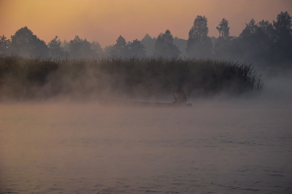 Фотографія Крізь серпанок ... / Олександр Ярмошевич / photographers.ua