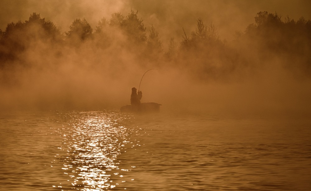 Фотографія Покльовка у тумані … / Олександр Ярмошевич / photographers.ua