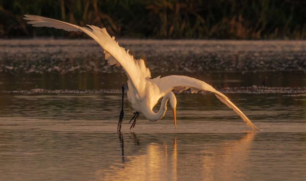 Фотографія ***** / Олександр Ярмошевич / photographers.ua