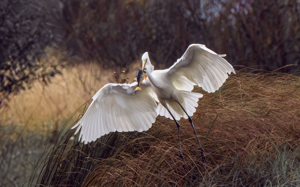 Фотографія ***** / Олександр Ярмошевич / photographers.ua