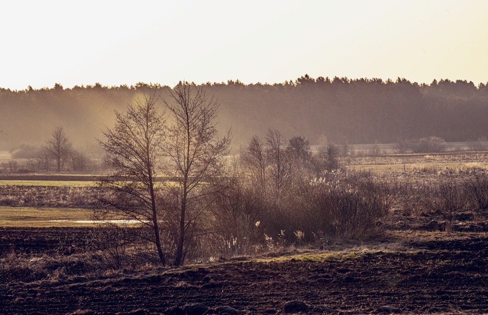 Фотографія Пейзаж / Олександр Ярмошевич / photographers.ua
