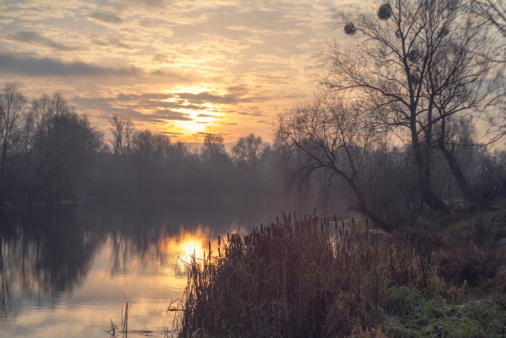 Фотографія ***** / Олександр Ярмошевич / photographers.ua