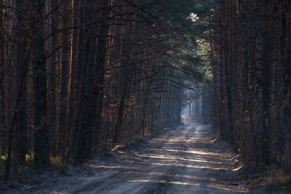Фотографія Пейзаж / Олександр Ярмошевич / photographers.ua