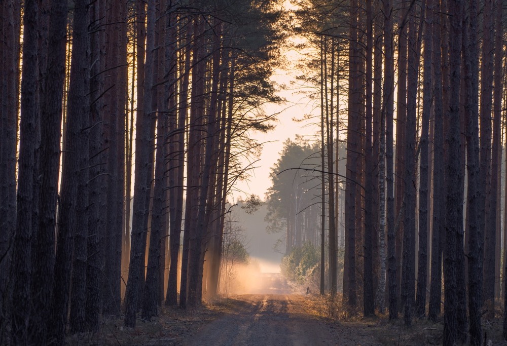 Фотографія Пейзаж / Олександр Ярмошевич / photographers.ua