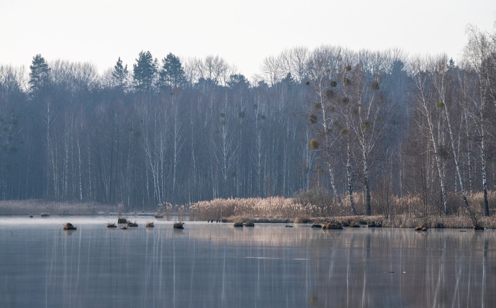 Фотографія Пейзаж / Олександр Ярмошевич / photographers.ua