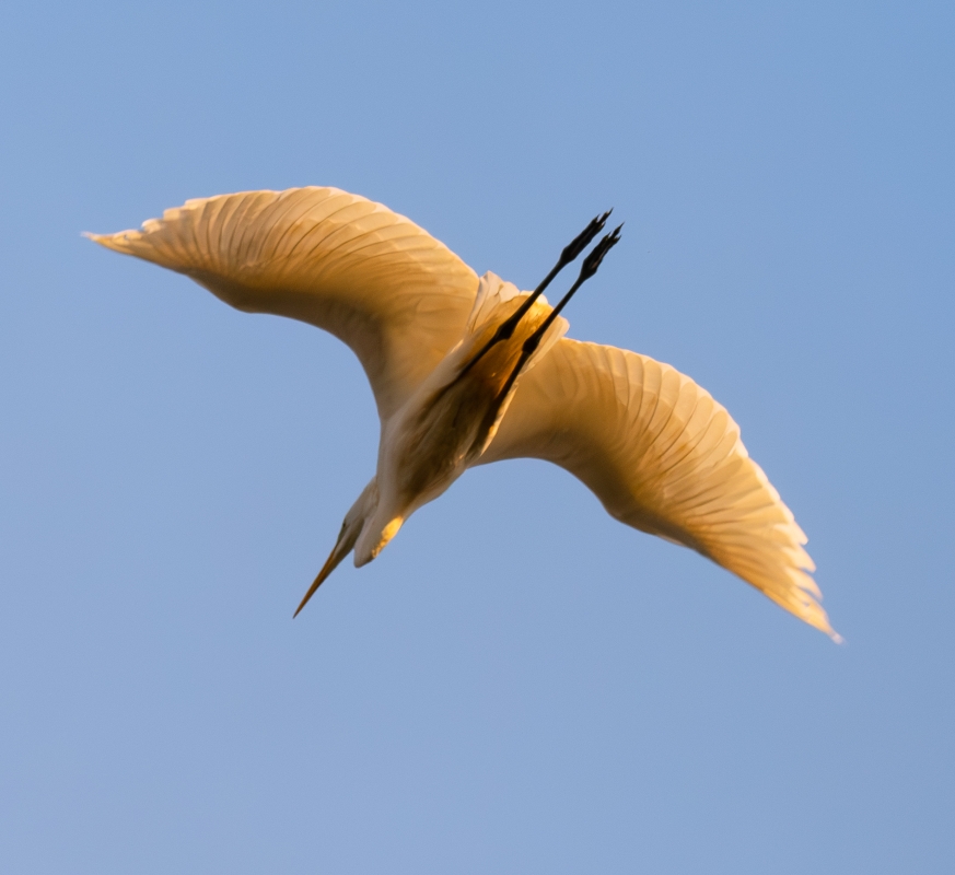 Фотографія Дотик сонця ... / Олександр Ярмошевич / photographers.ua