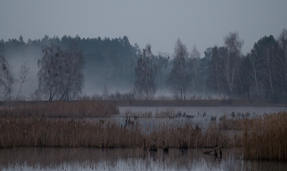 Фотографія Пейзаж / Олександр Ярмошевич / photographers.ua