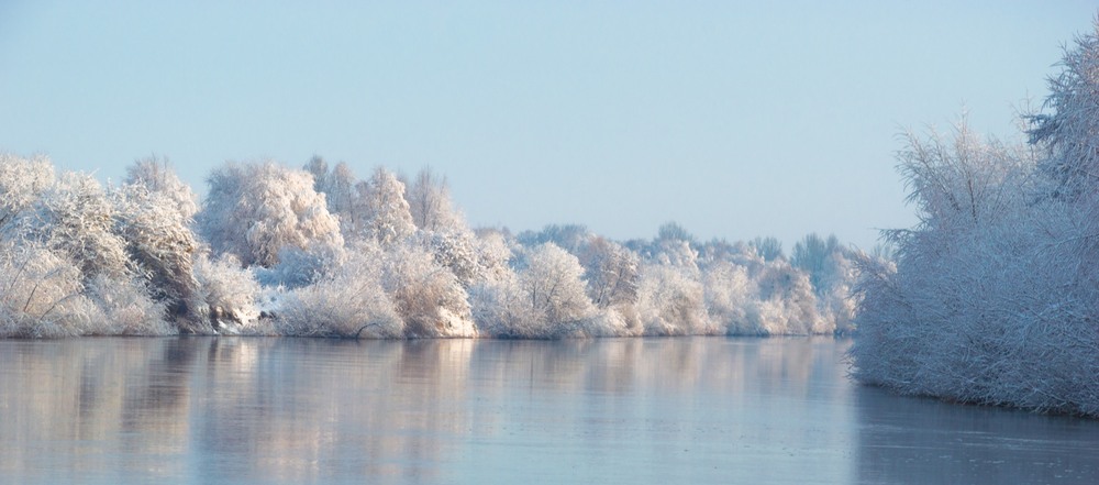 Фотографія ***** / Олександр Ярмошевич / photographers.ua