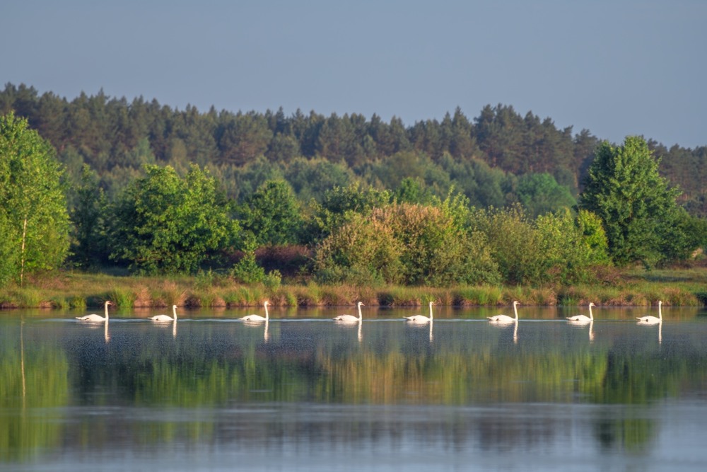 Фотографія Лінія тиші ... / Олександр Ярмошевич / photographers.ua