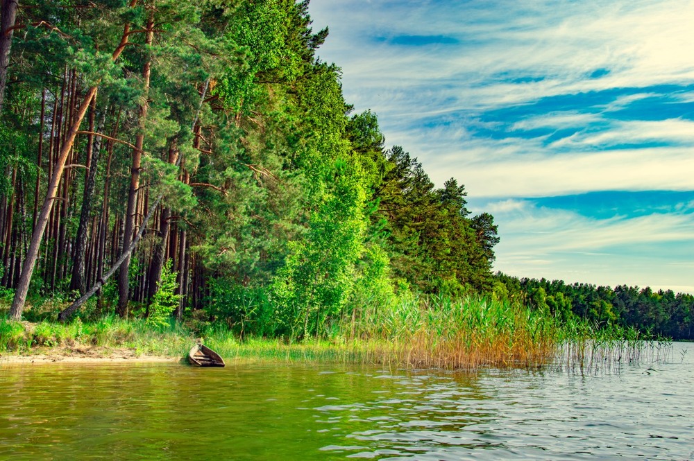 Фотографія ***** / Олександр Ярмошевич / photographers.ua