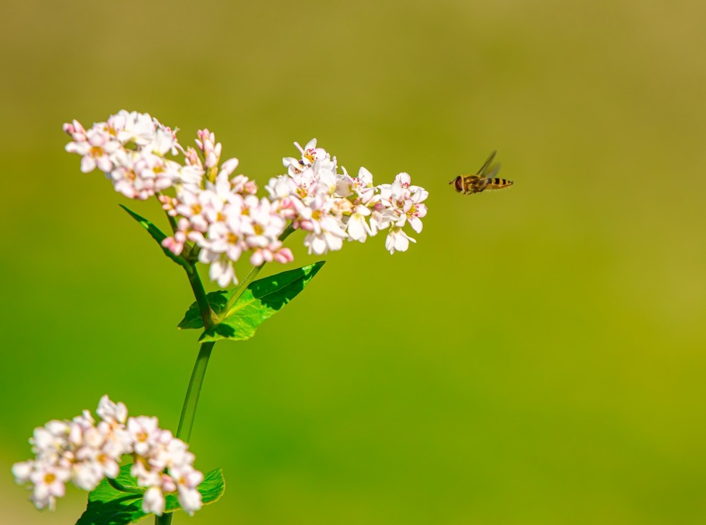 Фотографія ***** / Олександр Ярмошевич / photographers.ua