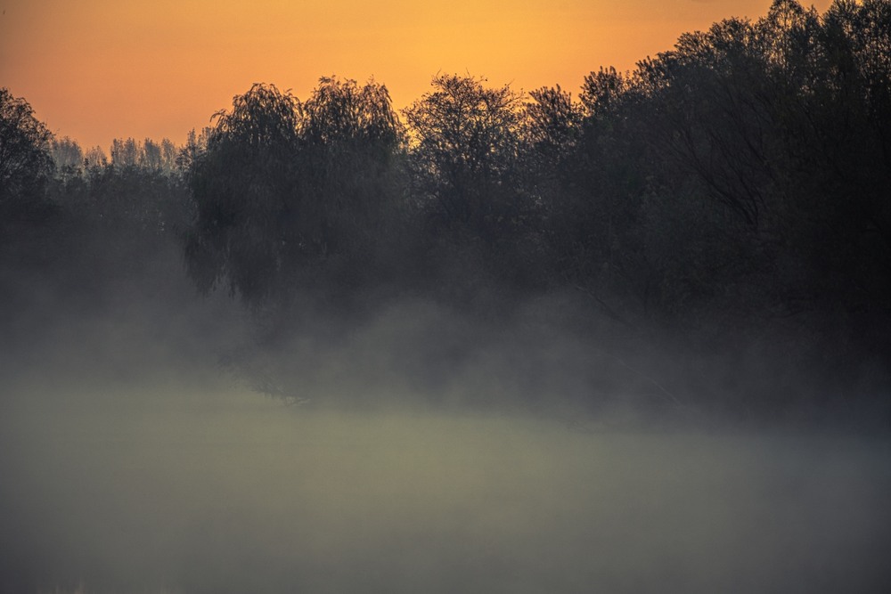 Фотографія Перший подих дня ... / Олександр Ярмошевич / photographers.ua