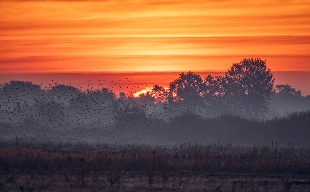 Фотографія Між небом … / Олександр Ярмошевич / photographers.ua
