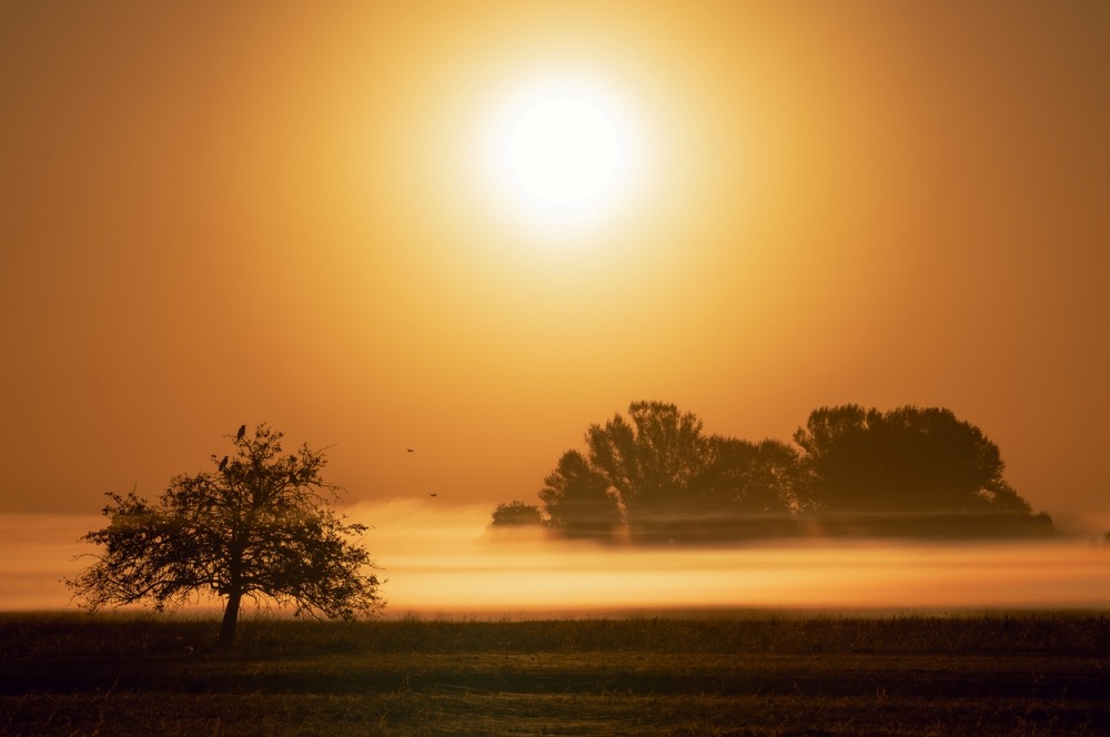 Фотографія Ті, що зустрічають сонце … / Олександр Ярмошевич / photographers.ua