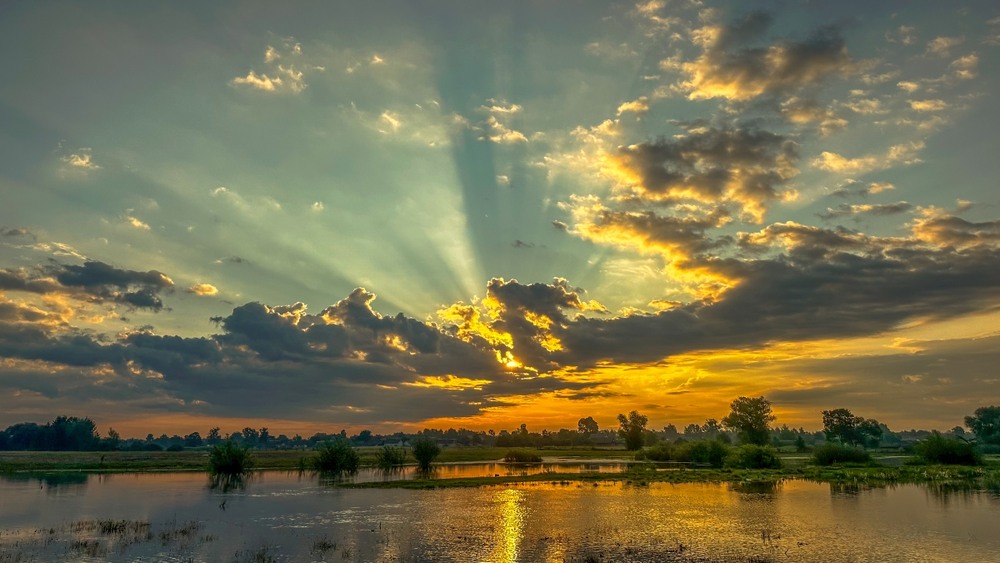 Фотографія ***** / Олександр Ярмошевич / photographers.ua