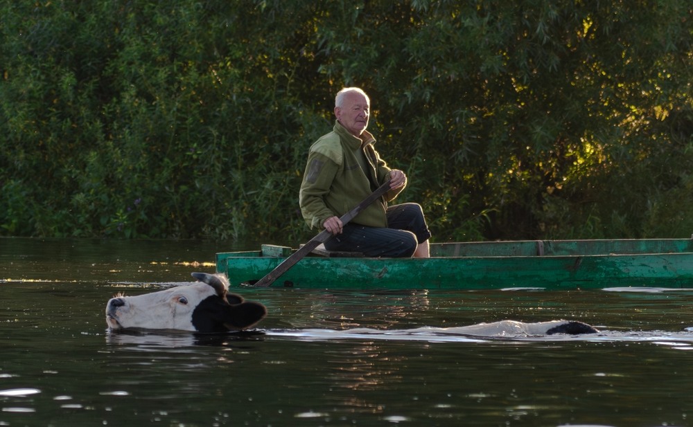 Фотографія ***** / Олександр Ярмошевич / photographers.ua