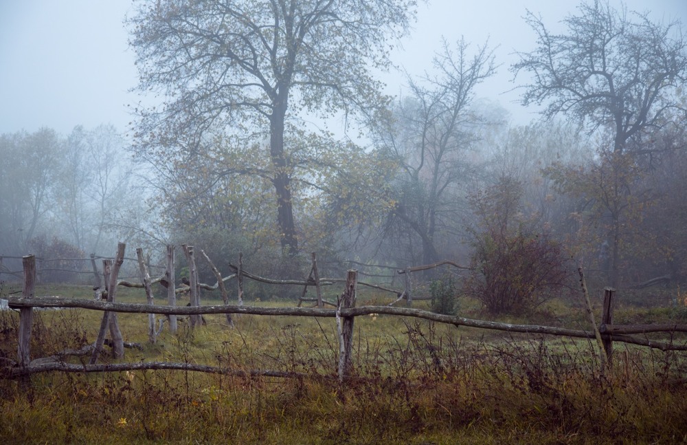 Фотографія Пейзаж / Олександр Ярмошевич / photographers.ua