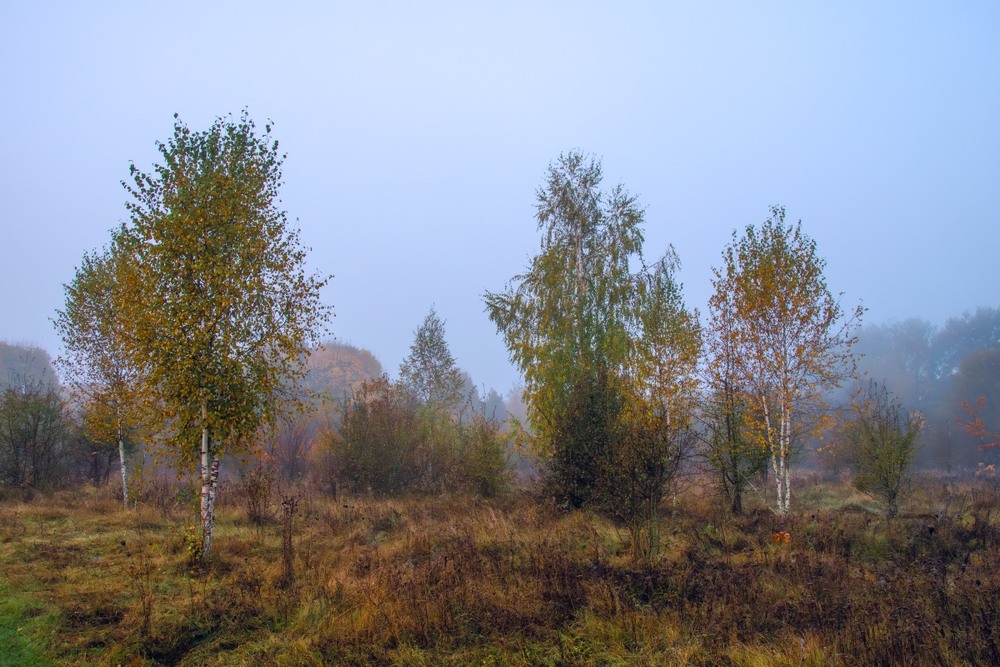 Фотографія Пейзаж / Олександр Ярмошевич / photographers.ua