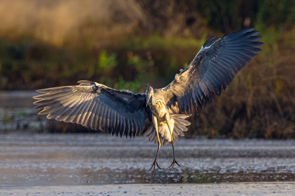 Фотографія ***** / Олександр Ярмошевич / photographers.ua
