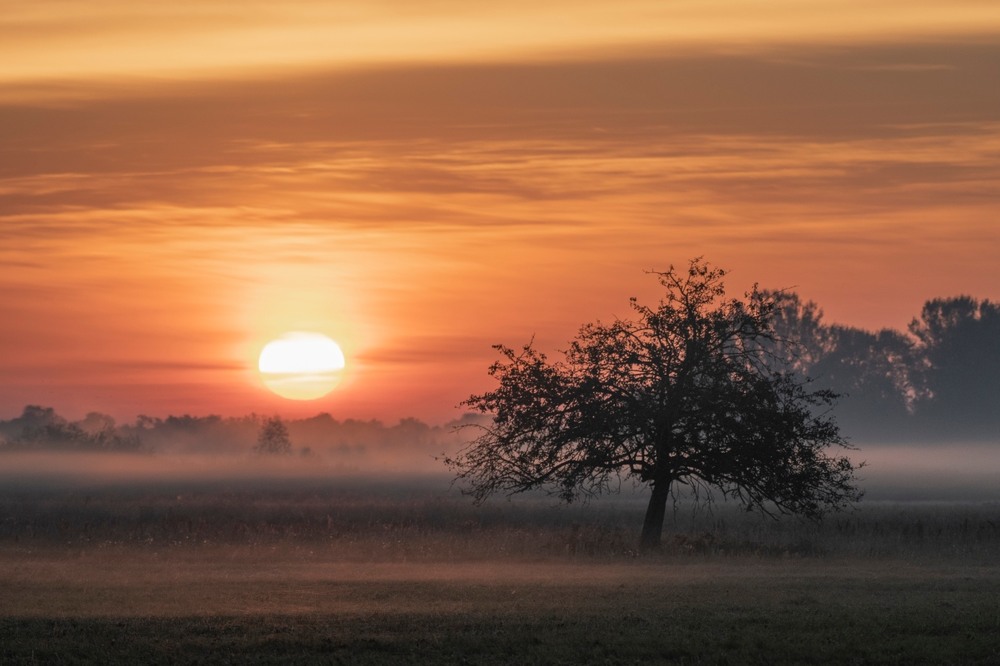 Фотографія Пейзаж / Олександр Ярмошевич / photographers.ua
