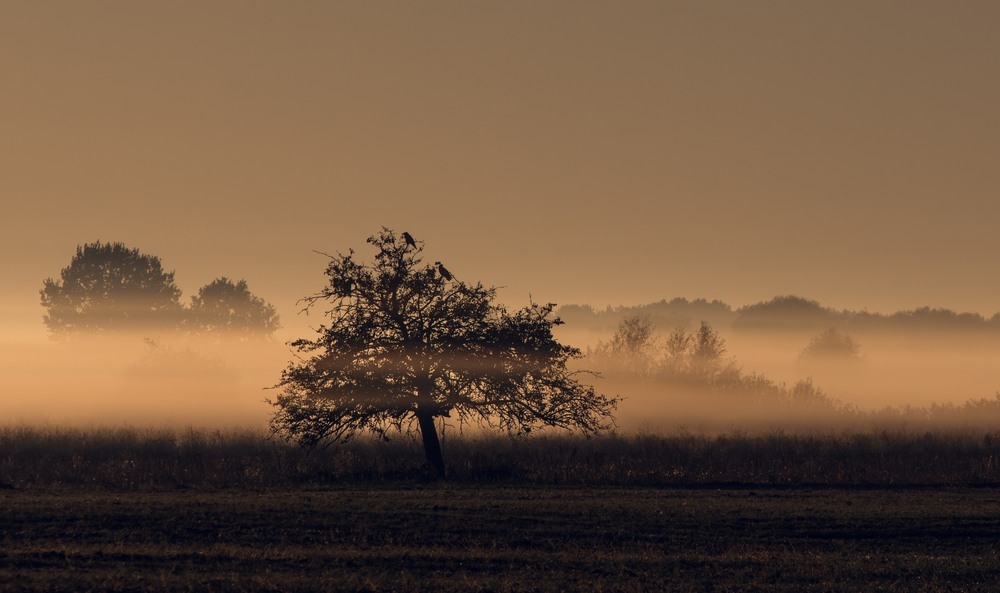 Фотографія Пейзаж / Олександр Ярмошевич / photographers.ua