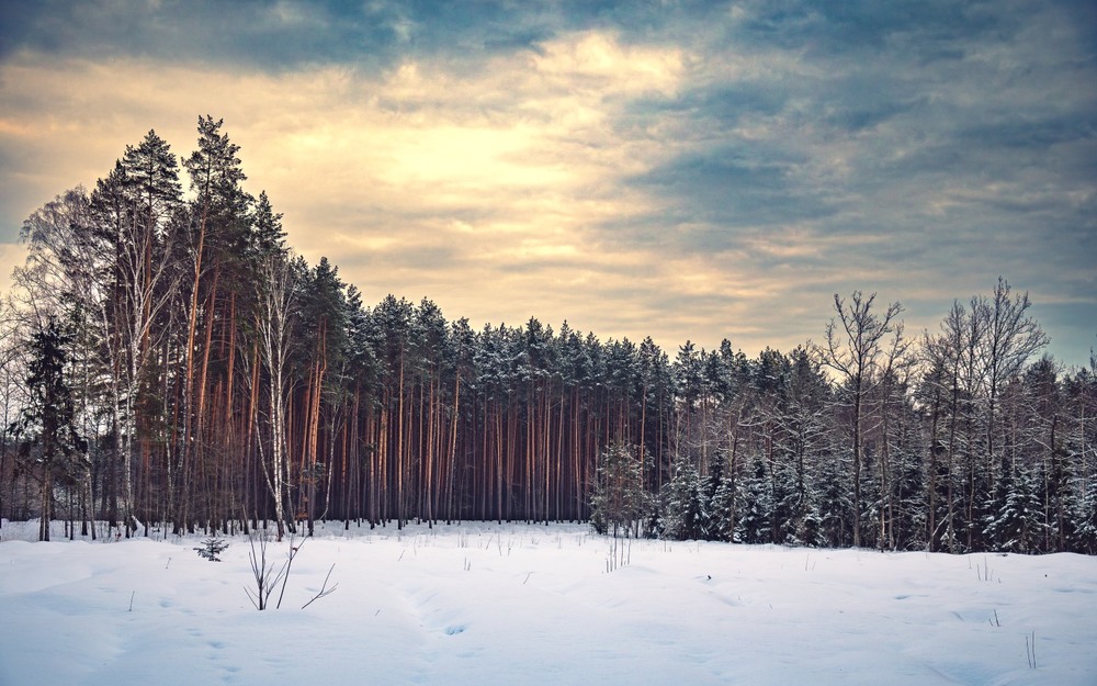 Фотографія Пейзаж / Олександр Ярмошевич / photographers.ua