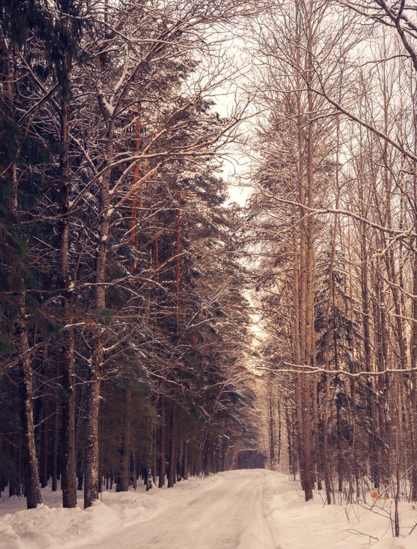 Фотографія Пейзаж / Олександр Ярмошевич / photographers.ua