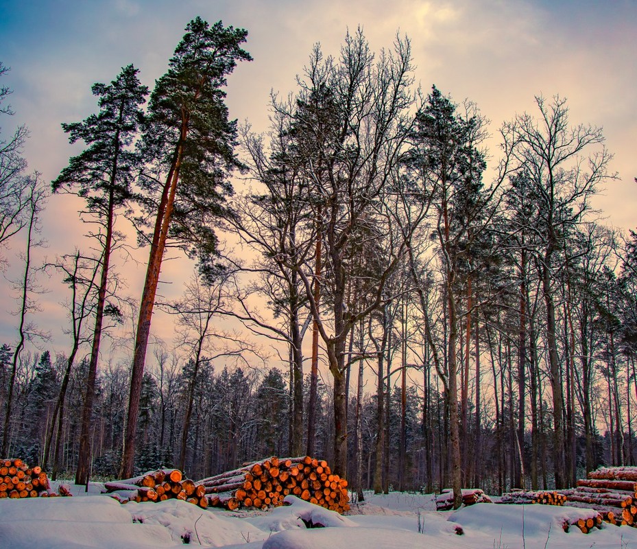 Фотографія Гламур / Олександр Ярмошевич / photographers.ua