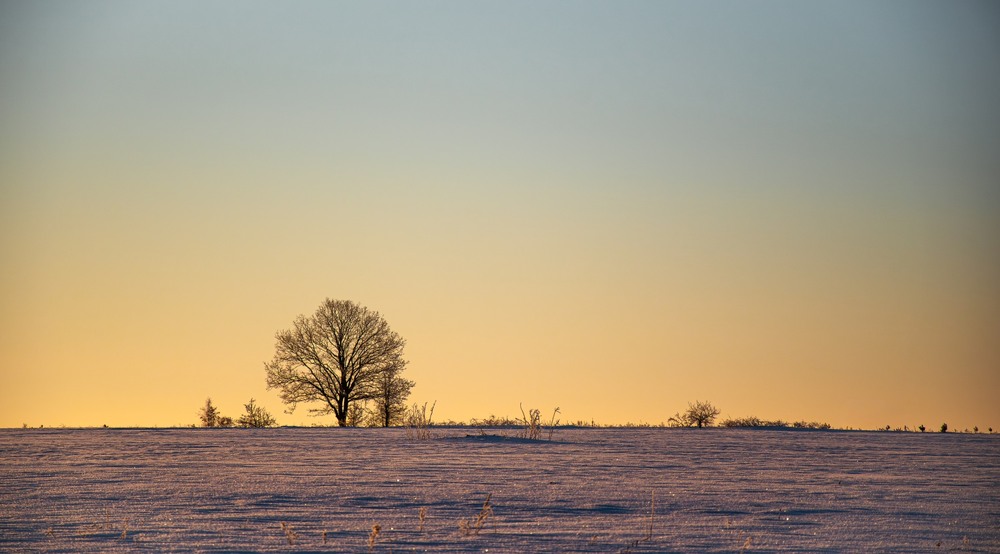 Фотографія Пейзаж / Олександр Ярмошевич / photographers.ua